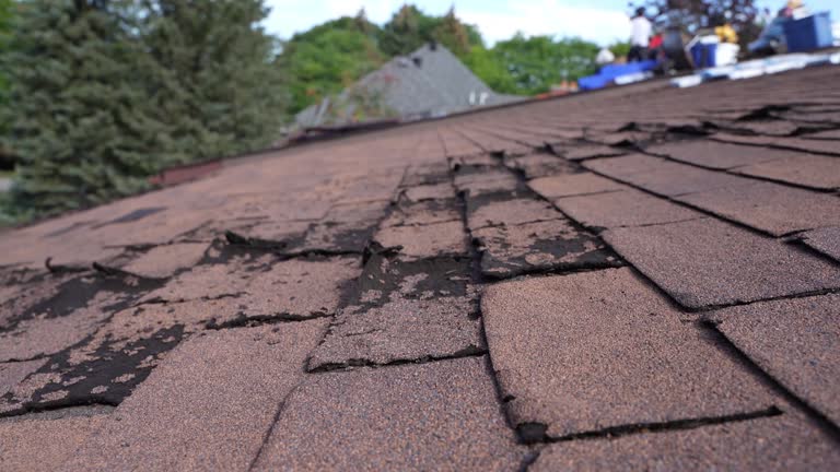 Best Flat Roofing  in Frankenmuth, MI