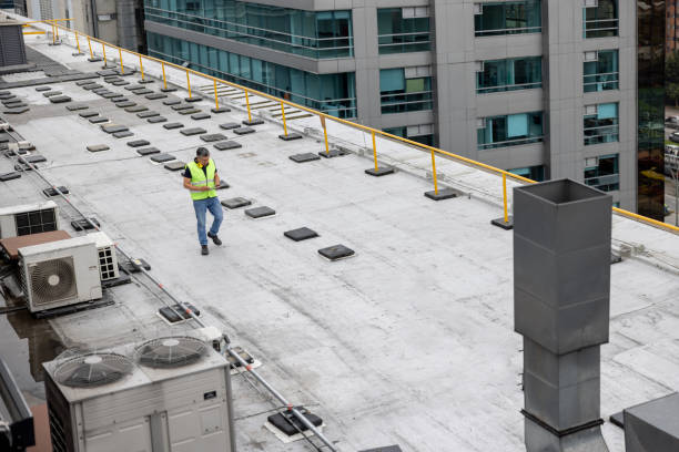 Best Roof Ventilation Installation  in Frankenmuth, MI