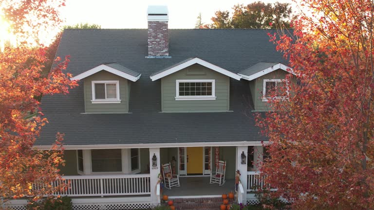 Best Metal Roofing Installation  in Frankenmuth, MI