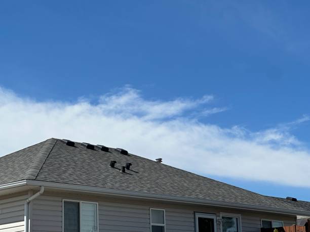 Reliable Frankenmuth, MI Roofing Service Solutions